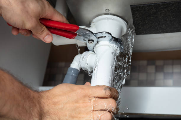 Best Carpet water damage restoration  in Morton Grove, IL