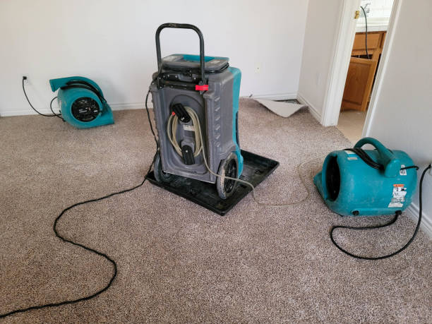 Best Commercial water damage restoration  in Morton Grove, IL