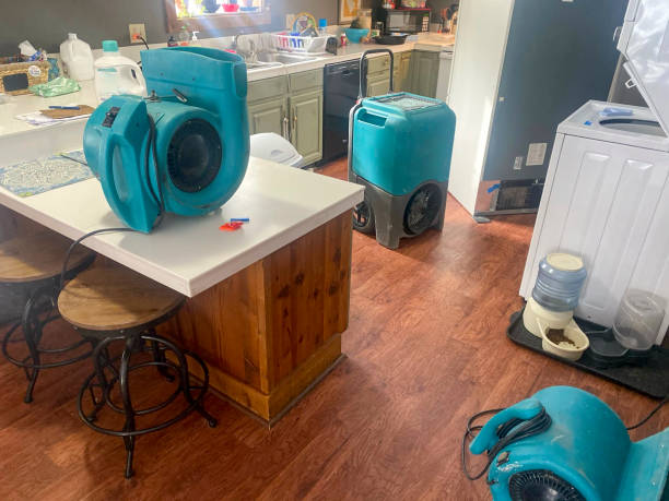 Best Water damage restoration cost  in Morton Grove, IL