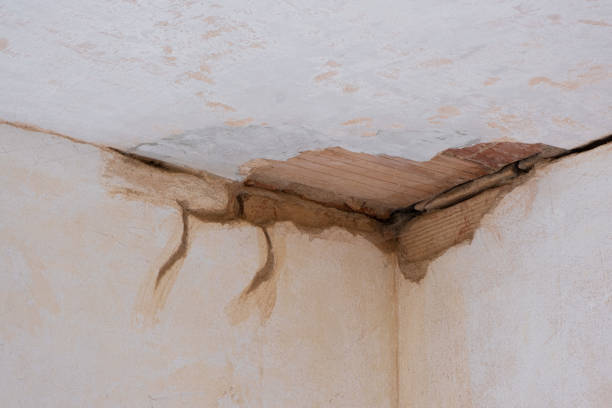 Best Sewage cleanup and water damage restoration  in Morton Grove, IL