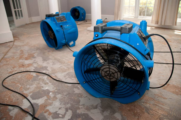 Best Sewage cleanup and water damage restoration  in Morton Grove, IL