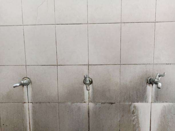 Best Water damage mitigation services  in Morton Grove, IL